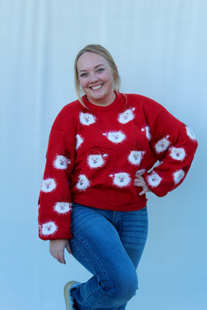 Santa Sweater